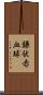 鎌状赤血球 Scroll