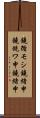 鐃循モシ鐃緒申鐃銃ワ申鐃緒申 Scroll