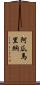 Aguamarina Scroll