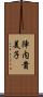 陣内貴美子 Scroll