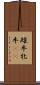 雌牛 Scroll