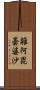 雜阿毘曇婆沙 Scroll