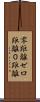 零距離 Scroll