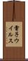 電子ウイルス Scroll