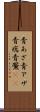 青あざ Scroll