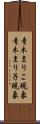 青木まりこ現象 Scroll