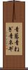 青葱 Scroll