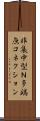 非集中型Ｎ多端点コネクション Scroll