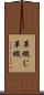 革綴じ Scroll