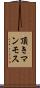 頂きマンモス Scroll