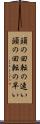 頭の回転の速い Scroll