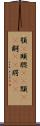 顎(P) Scroll