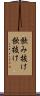 飲み抜け Scroll