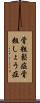 骨粗鬆症 Scroll