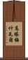 Gautameshwar Scroll