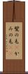 髪の毛(P) Scroll