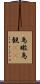 鳥瞰 Scroll