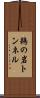 鵜の岩トンネル Scroll