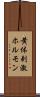 黄体刺激ホルモン Scroll