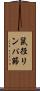 鼠径リンパ節 Scroll