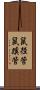 鼠径管 Scroll