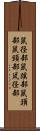 鼠径部 Scroll