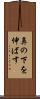 鼻の下を伸ばす Scroll