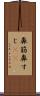 鼻筋 Scroll