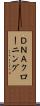 ＤＮＡクローニング Scroll