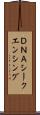 ＤＮＡシークエンシング Scroll