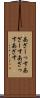 あざーっす Scroll