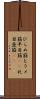 ひらめ筋 Scroll