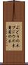 ぶどうの木 Scroll