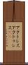 アクトレス Scroll