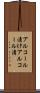 アルコール漬け Scroll