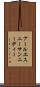 アールエスニーサンニーディー Scroll