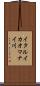 イタルイカオマナイ川 Scroll