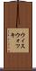 ウィスウォツキ Scroll
