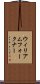 ウィリアムフォークナー Scroll