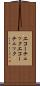 エコーチェック Scroll