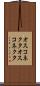 オスコネクタ Scroll