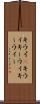 キウイ(P) Scroll