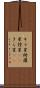 キラ星 Scroll
