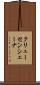 クリューセンシェーナ Scroll