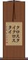 クロスタイ Scroll