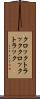 クロックトラック Scroll