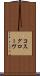 コスグローヴ Scroll