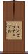 コンセプチュアル Scroll