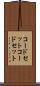 コードセット Scroll