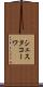 シェスタコーワ Scroll